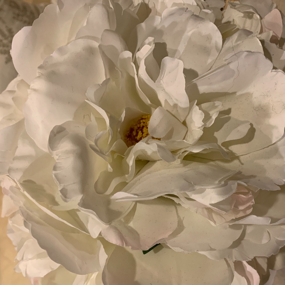 Meet your Posher, Vivian